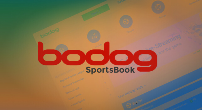 Bodog India Overview
